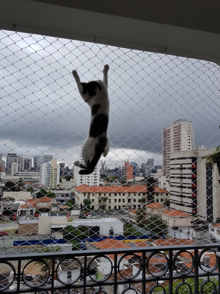 Pigeon net duct